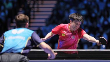 正是近年来 正是近年来